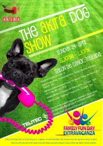 Hunde show