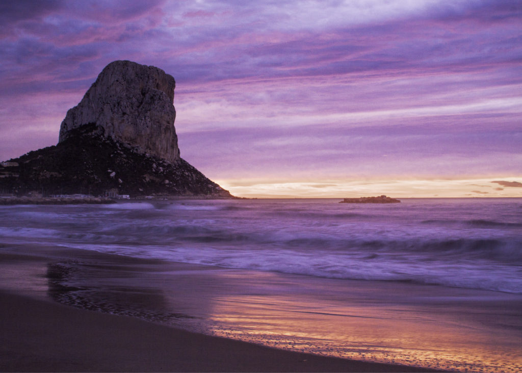 Calpe Rose