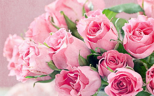 fresh-flowers-bouquet-of-pink-roses-hd-desktop-backgrounds-free-download- wallpaper-thumb - Mobile, Internet and UK TV in Spain