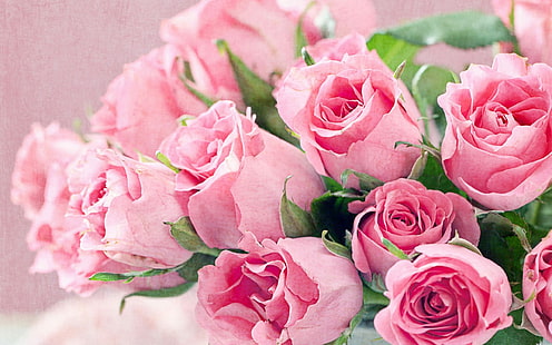 fresh-flowers-bouquet-of-pink-roses-hd-desktop-backgrounds-free-download- wallpaper-thumb - Mobile, Internet and UK TV in Spain fresh-flowers-bouquet-of-pink-roses-hd-desktop-backgrounds-free-download- wallpaper-thumb - Mobile, Internet and UK TV in Spain
