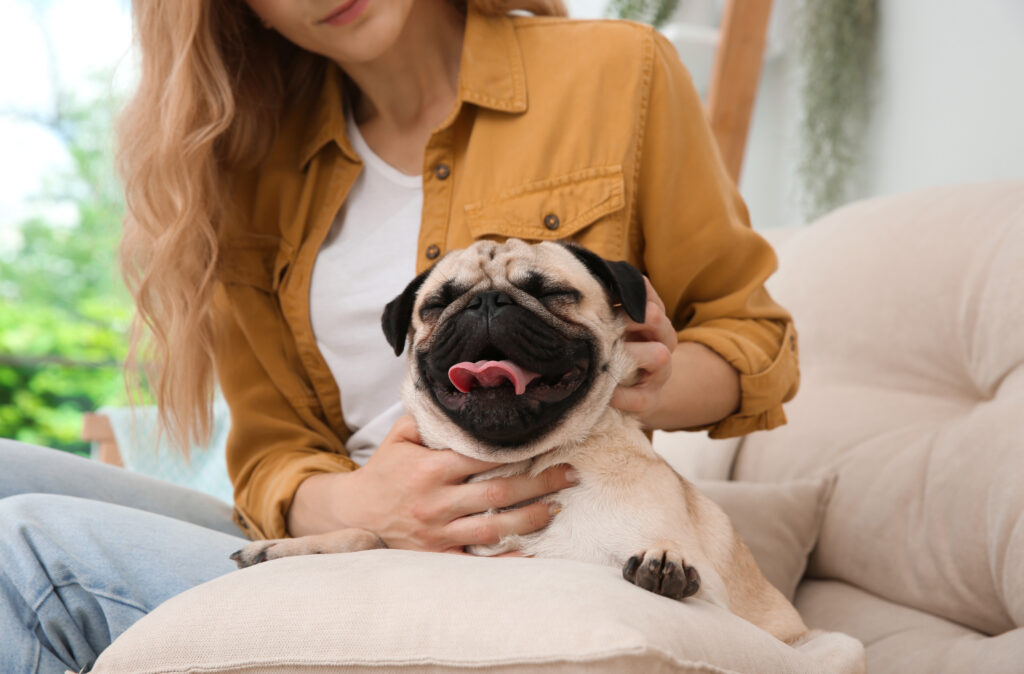 Nuestra primera aplicación es una excelente aplicación si necesita un cuidador de mascotas o incluso un paseador de mascotas. Esta es una aplicación mundial, por lo que muchos de nuestros clientes pueden encontrar a alguien sin importar dónde se encuentre, aquí en España o en casa, ya que cubre el Reino Unido y Europa.